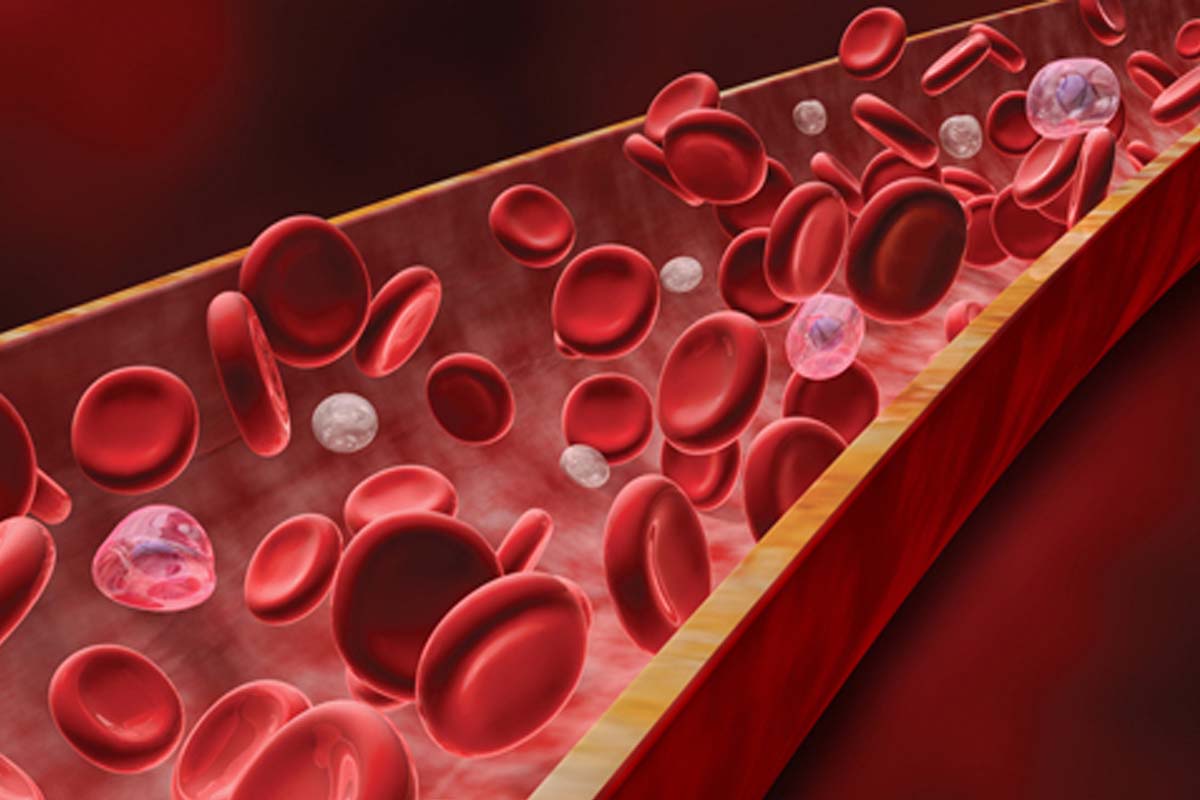 ஹீமோகுளோபின் குறைவா? உடனே கவனிக்க வேண்டிய அறிகுறிகள் மற்றும் இயற்கை தீர்வுகள் இதோ!