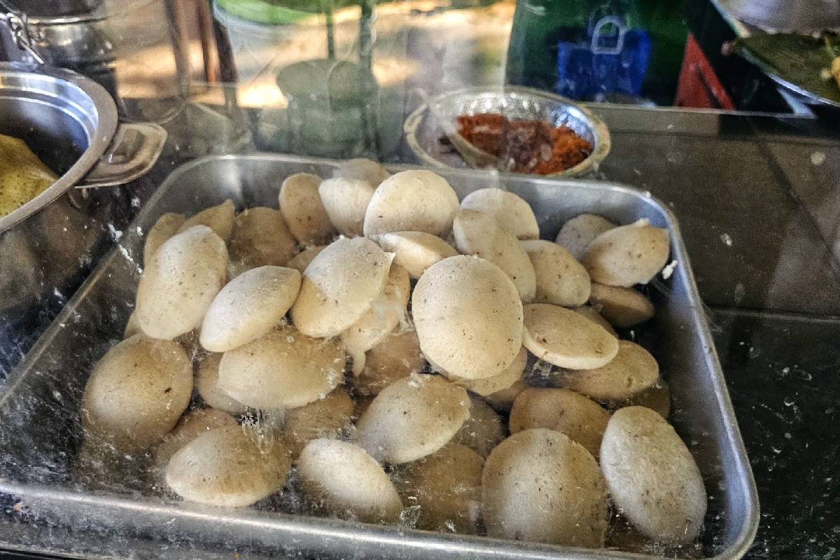 கிளிநொச்சியில் அம்மாச்சி உணவக சர்ச்சை: ஊழல், அநாகரிகம், வேலை பறிப்பு கண்ணீருடன் பெண்கள் வெளியிட்ட அதிர்ச்சி குற்றச்சாட்டு!