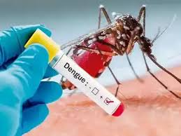 யாழில் டெங்கு பரவலுக்கு காரணமான 14 பேருக்கு அபராதம்; நீதிமன்றத்தின் அதிரடி நடவடிக்கை