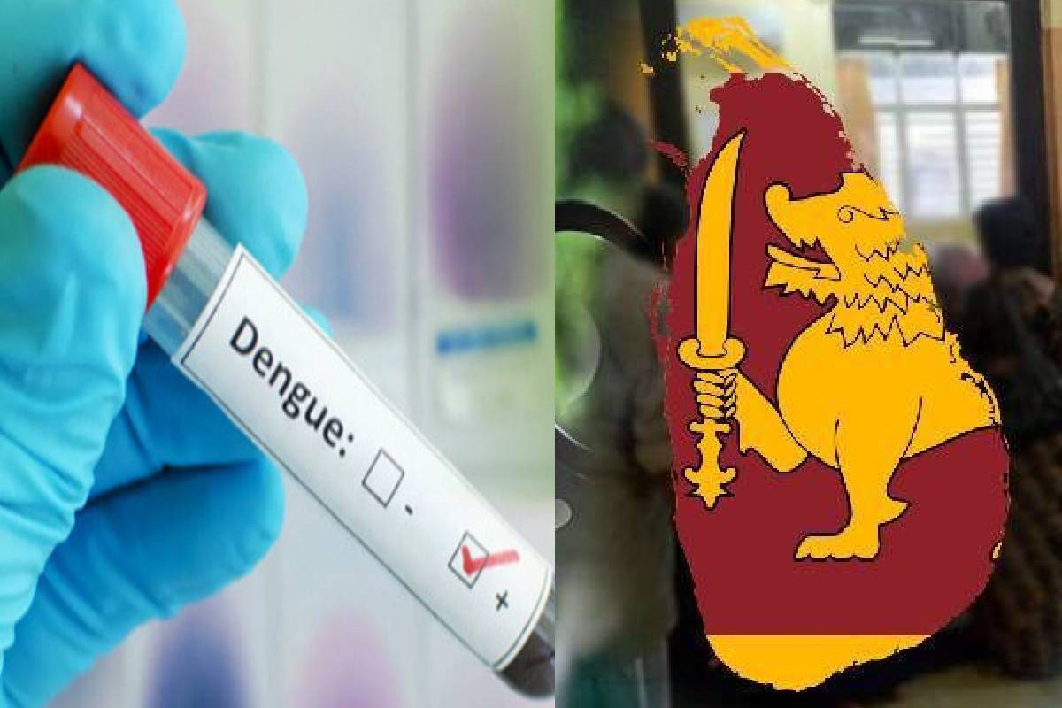 இலங்கையில் டெங்கு பரவல் தீவிரம்: அவசரகால நிலையை பிரகடனப்படுத்த கோரிக்கை