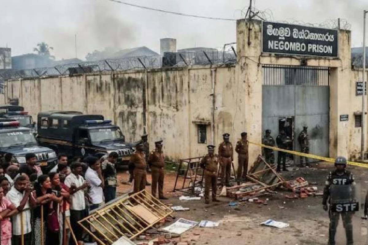 நீதித்துறை நெருக்கடிக்கு ஜனாதிபதி பொறுப்பேற்க வேண்டும் என பொதுஜன பெரமுன குற்றச்சாட்டுநீதித்துறை நெருக்கடிக்கு ஜனாதிபதி பொறுப்பேற்க வேண்டும் என பொதுஜன பெரமுன குற்றச்சாட்டு