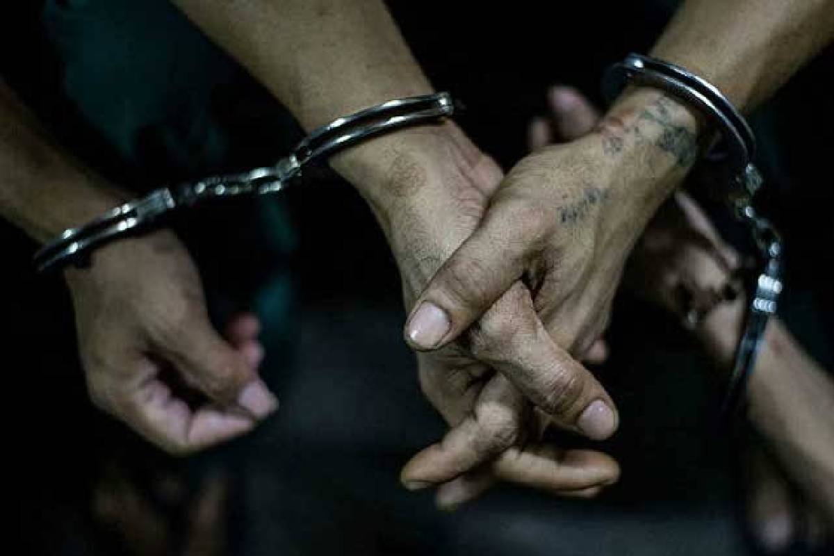 திருகோணமலையில் சட்டவிரோதமாக ஆமைகளை கடத்தியதாக நால்வர் கைது