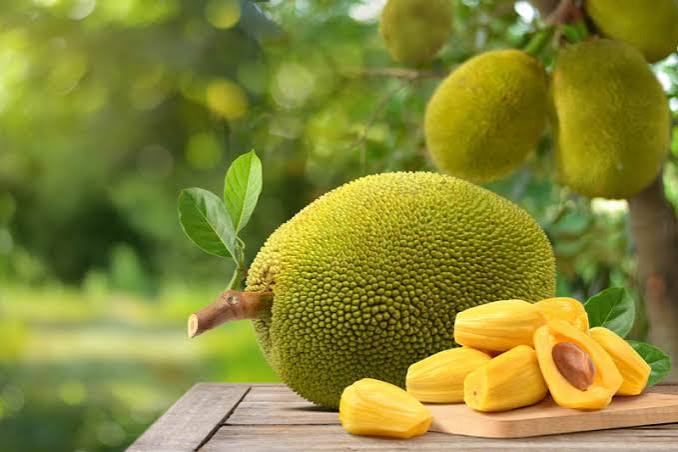 பலாப்பழம்: சுவையைத் தாண்டி ஆரோக்கியத்தின் பொக்கிஷம்! உடலுக்கு தரும் ஆச்சரிய நன்மைகள் என்ன?