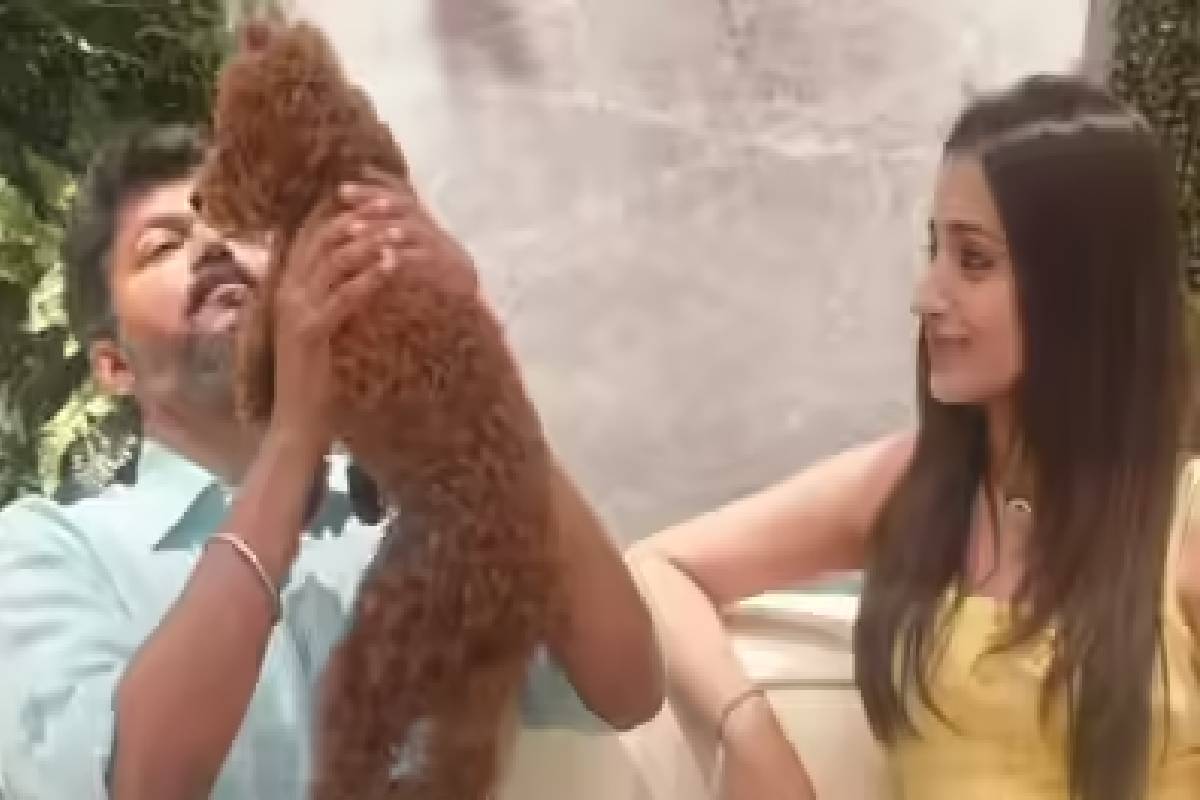 : பதிவின் பின்னணி என்ன? த்ரிஷா பதிவு குறித்து சமூக வலைத்தளங்களில் பரவும் விளக்கங்கள்