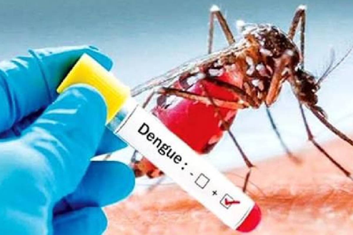 நீர்கொழும்பு சிறையில் டெங்குவால் கைதிகள் உயிரிழந்ததாக வெளியான தகவல் பொய்யானது; சுகாதார அமைச்சர் விளக்கம்